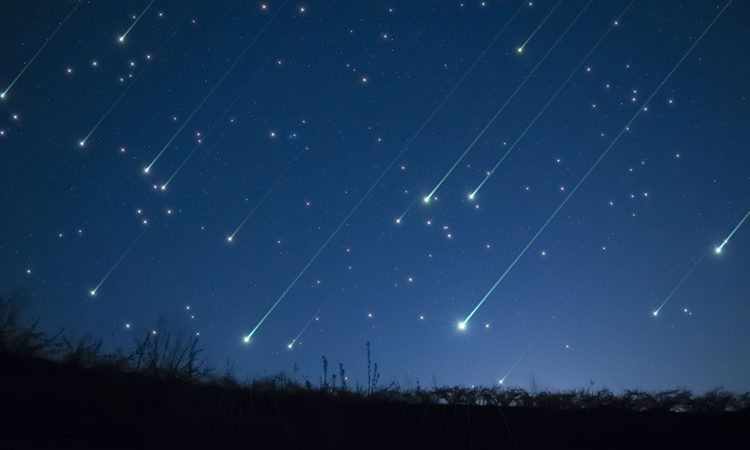 Chính vì tính quốc tế của dự án, công ty ALE đã hợp tác với nhiều tổ chức quốc tế để tổ chức trải nghiệm đặc biệt này. Trong số các đối tác này có cả NASA và Tổ chức hàng không và vũ trụ Nhật Bản - JAXA.