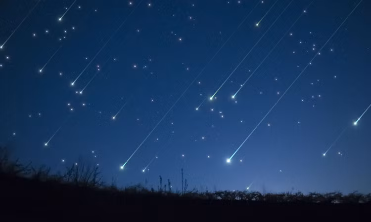 Chính vì tính quốc tế của dự án, công ty ALE đã hợp tác với nhiều tổ chức quốc tế để tổ chức trải nghiệm đặc biệt này. Trong số các đối tác này có cả NASA và Tổ chức hàng không và vũ trụ Nhật Bản - JAXA.