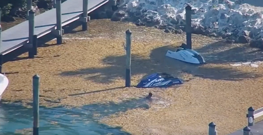 Dù giải thích về nguyên nhân của hiện tượng này vẫn còn mơ hồ, nó đã thu hút sự chú ý của cộng đồng mạng.