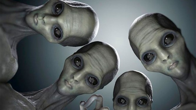 Chẳng hạn như, những sinh vật này có thể mang theo các vi khuẩn, virus hoặc các chất độc hại khác. Nếu chúng ta không biết cách phòng ngừa, đây có thể là một mối nguy hiểm đối với sức khỏe của con người.