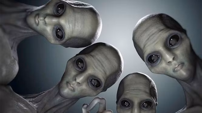 Chẳng hạn như, những sinh vật này có thể mang theo các vi khuẩn, virus hoặc các chất độc hại khác. Nếu chúng ta không biết cách phòng ngừa, đây có thể là một mối nguy hiểm đối với sức khỏe của con người.