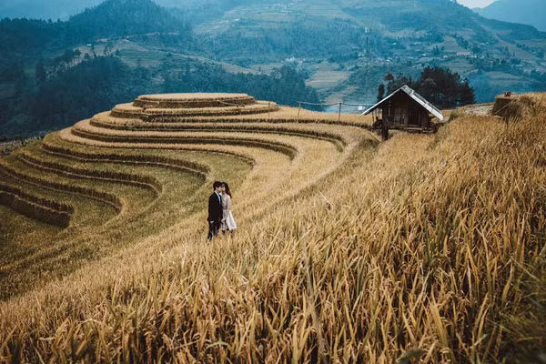 Công việc văn phòng, thời gian eo hẹp không ngăn cản được đam mê của đôi bạn trẻ. Cả hai đã dành những ngày nghỉ ít ỏi để cùng nhau đi khắp Việt Nam để tự chụp những bức ảnh tuyệt đẹp này. Từ miền Nam xa xôi, cả hai đã có những trải nghiệm thật đẹp tại Mù Cang Chải (Yên Bái) giữa mùa lúa chín.
