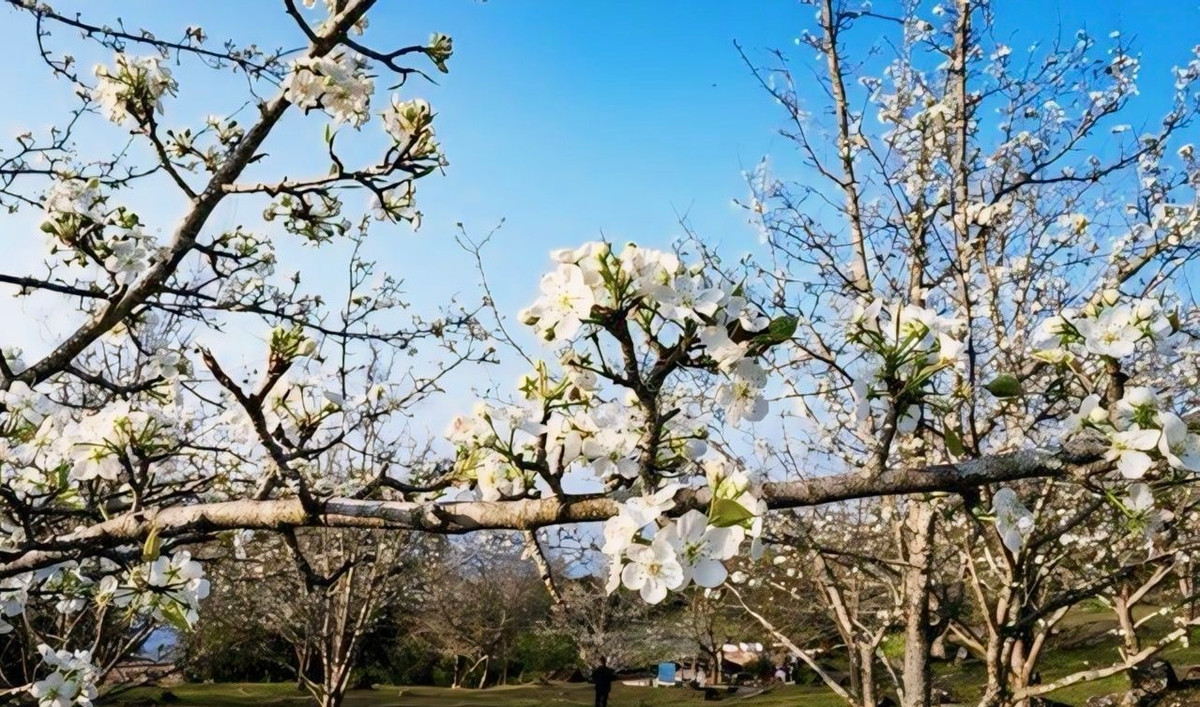 Chương trình lễ hội Hương sắc Na Hang 2024 là chương trình để quảng bá và giới thiệu với nhân dân trong nước và quốc tế về miền đất, con người cũng như là tiềm năng văn hóa, du lịch, các di sản văn hóa trên địa bàn huyện."