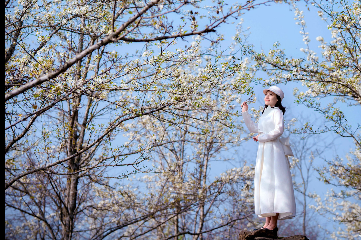 Vào tháng 3, vườn lê cổ thụ mọc trên sườn dốc thoải nở hoa trắng muốt, đẹp mộng mơ khiến hàng ngàn người ghé thăm nơi đây đều động lòng. Những năm gần đây, vườn hoa lê đang trở thành điểm du xuân đặc biệt thu hút nhiều người dân thập phương và du khách nước ngoài ghé thăm. Giá vé cho du khách vào tham quan chỉ từ vài chục nghìn đồng (khoảng từ 20.000 đồng/người). 