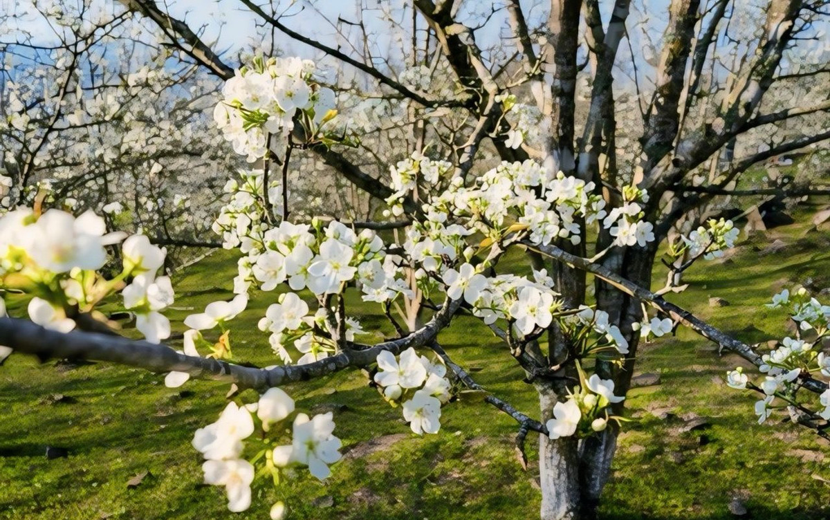 Chương trình khai mạc Lễ hội Hương sắc Na Hang 2024 được diễn ra vào tối ngày 02/03/2024 với sự góp mặt của các ca sĩ nổi đình đám như: Tấn Minh, Tân Nhàn, Lan Quỳnh, Đoàn Hồng Hạnh, Tiến Hưng... Cùng nhiều đoàn nghệ sĩ trẻ Hà Nội.