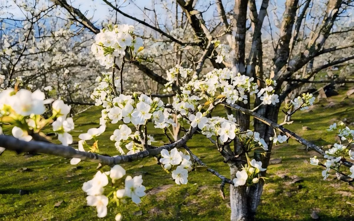 Chương trình khai mạc Lễ hội Hương sắc Na Hang 2024 được diễn ra vào tối ngày 02/03/2024 với sự góp mặt của các ca sĩ nổi đình đám như: Tấn Minh, Tân Nhàn, Lan Quỳnh, Đoàn Hồng Hạnh, Tiến Hưng... Cùng nhiều đoàn nghệ sĩ trẻ Hà Nội.