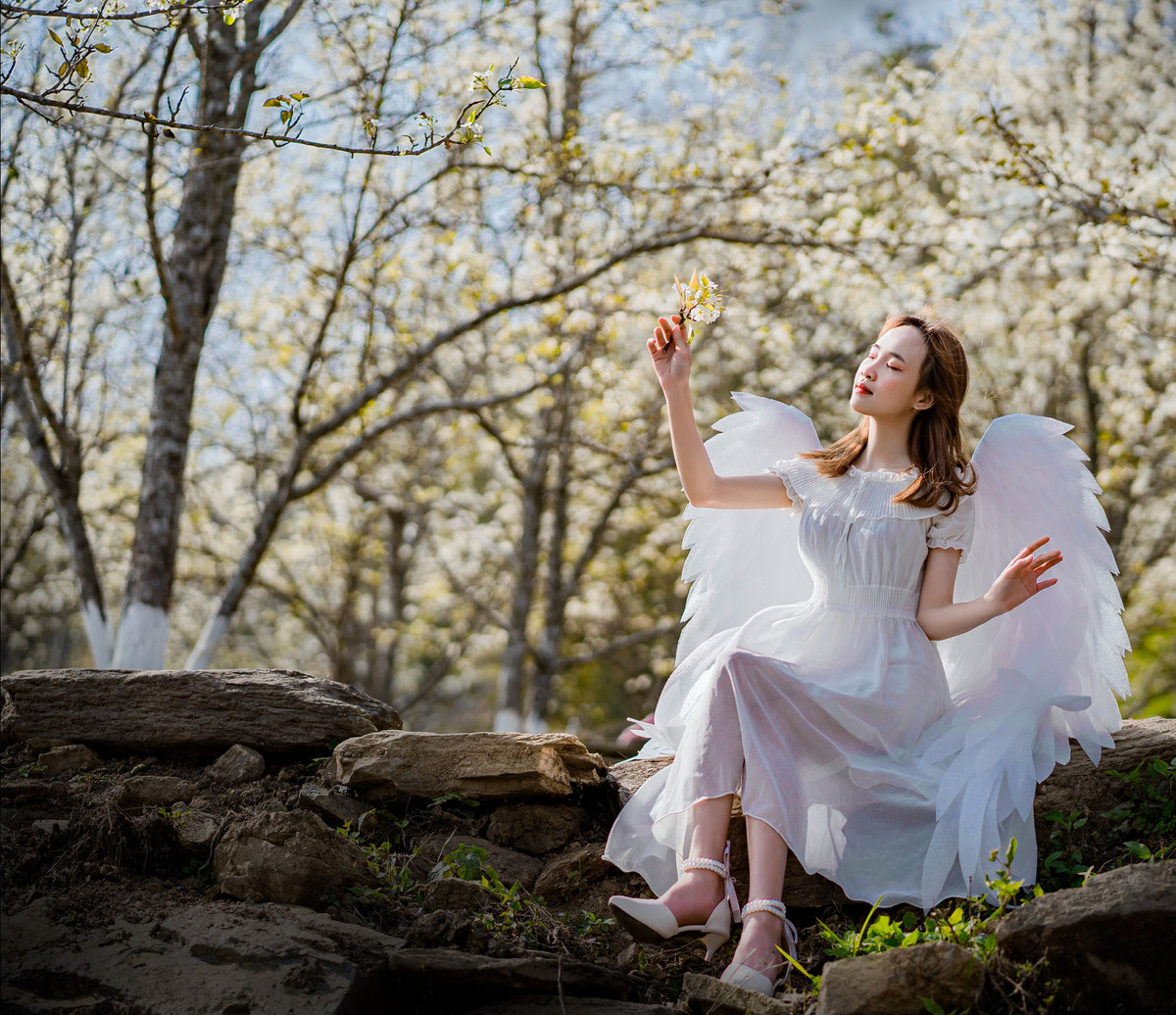 Năm nay, Lễ hội có nhiều điểm mới với các hoạt động hấp dẫn, bao gồm: Lễ hội áo dài và liên hoan dân vũ; Tham quan cây di sản Việt Nam và hang Bó Kim (thôn Bản Bung, xã Thanh Tương); Tham quan di tích Quốc gia đặc biệt Khu bảo tồn Na Hang - Lâm Bình; Cắm trại ngoài trời, giao lưu văn nghệ; (Khu lâm viên Phiêng Bung, Năng Khả);...