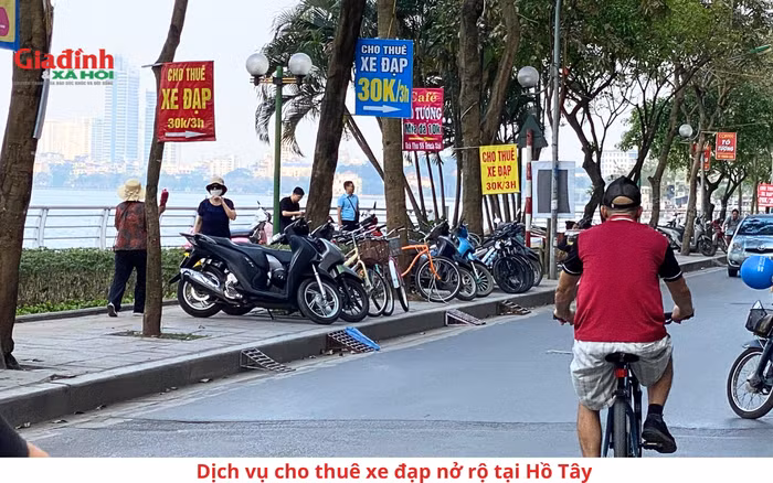 Sap vao he, dich vu cho thue xe dap tai Ho Tay nhon nhip