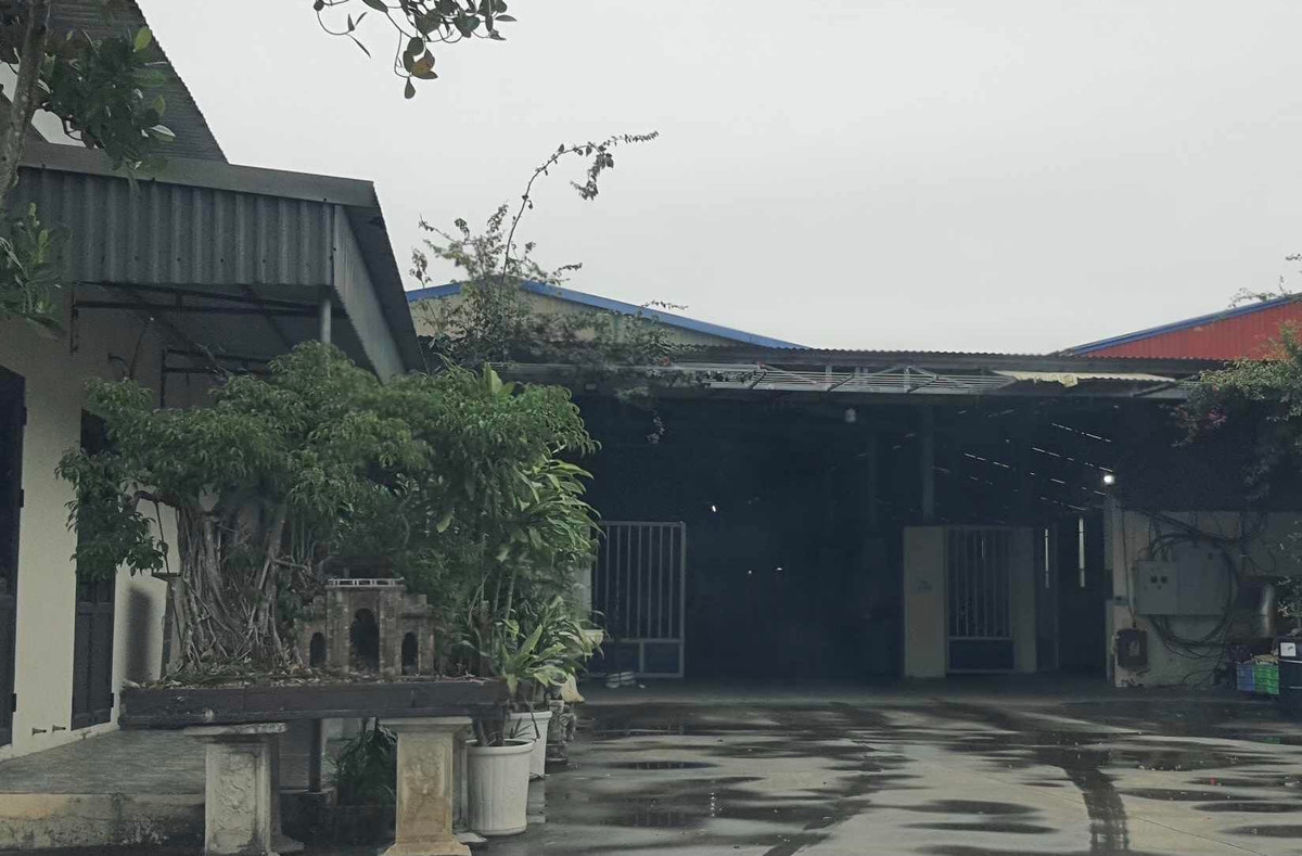 Hải Dương: Chính quyền rốt ráo xử lý vi phạm Công ty Long Phát Hai Duong: Chinh quyen rot rao xu ly vi pham Cong ty Long Phat