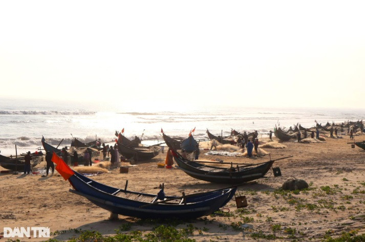 Từ sáng sớm, vùng bãi ngang xã Tam Thanh, thành phố Tam Kỳ, Quảng Nam đã rộn ràng tiếng nói cười, tiếng người hò nhau í ơi, tiếng động cơ của những chiếc thuyền phành phạch cập bờ, mang về "chiến lợi phẩm" sau một đêm đánh bắt trên biển.