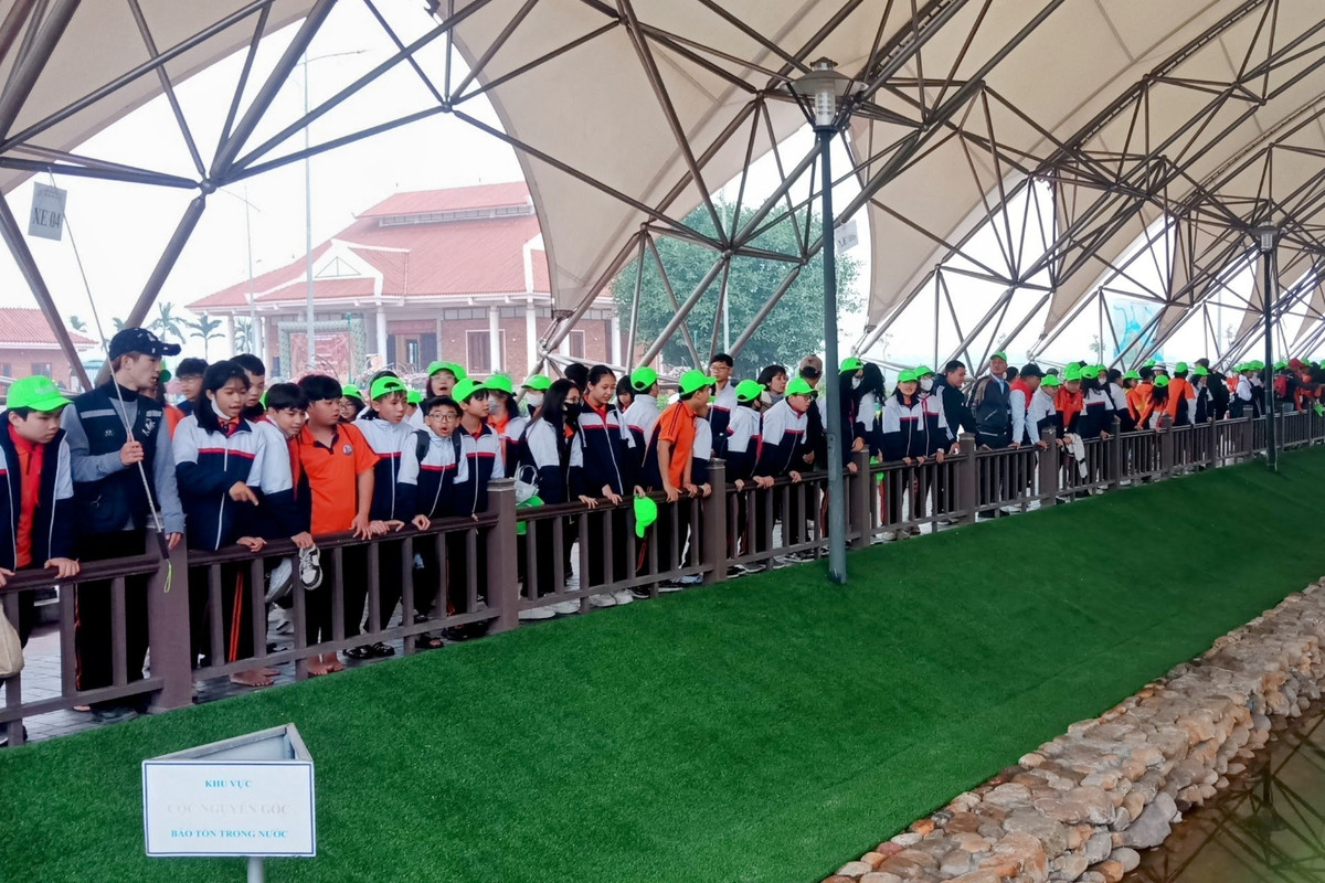 Hải Phòng: Nghiêm cấm tổ chức trải nghiệm để thu tiền trái quy định Hai Phong: Nghiem cam to chuc trai nghiem de thu tien trai quy dinh