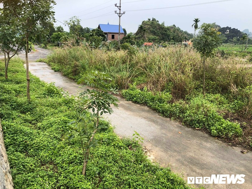 Lanh dia mo co khong lo o Hai Phong va bi an sam truyen kho bau
