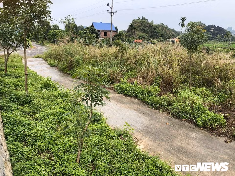 Lanh dia mo co khong lo o Hai Phong va bi an sam truyen kho bau
