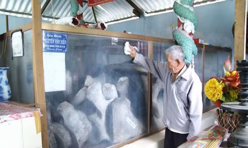 Bi an cau chuyen ca voi cuu nguoi o Ben Tre-Hinh-2