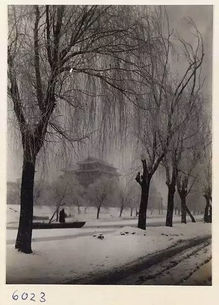 Tuyết phủ trắng ở cửa Tề Hóa.