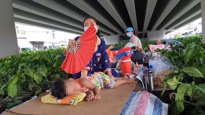 2 gia dinh di bo ve que nhung khong duoc, phai ta tuc o gam cau-Hinh-2