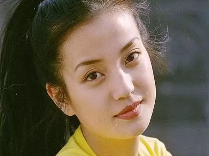 Scandal tai tiếng nhất của Triệu Vy có lẽ là lùm xùm cô mặc đầm họa tiết cách điệu từ quốc kỳ Nhật Bản vào năm 2001. Khi bị dư luận xứ Trung kêu gọi tẩy chay, Triệu Vy công khai xin lỗi vì sự cố trang phục. Tuy nhiên, sự nghiệp của cô vẫn xuống dốc không phanh từ năm 2001 - 2003.