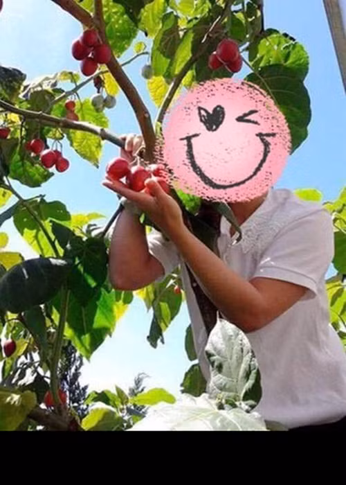 Có lần, Ya Suy đăng tải hình ảnh một cô gái nhưng lại dùng biểu tượng che mặt khiến nhiều người tò mò. Tuy nhiên, nam ca sĩ không hé lộ thêm về người này cũng như chuyện yêu đương của bản thân.