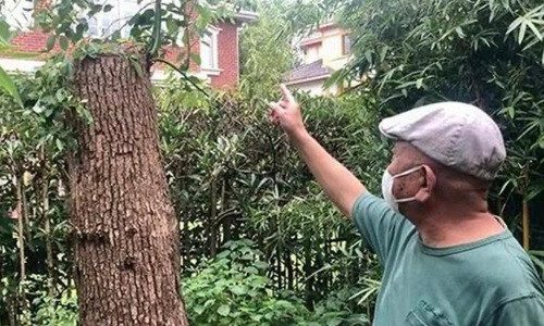 Bi phat gan nua ty dong vi tia cay tu trong truoc nha