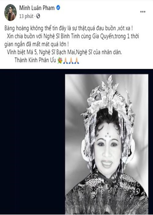 Nghệ sĩ Bạch Mai sinh năm 1948. Bà là nghệ sĩ tuồng cổ nổi tiếng thập niên 1960 và góp phần trong việc thành lập thương hiệu cải lương tuồng cổ Huỳnh Long. Nghệ sĩ Bạch Mai còn là soạn giả của nhiều vở tuồng nổi tiếng: "Xử án Phi Giao", "Giang sơn mỹ nhân", "Ngọc Kỳ Lân", "Thập tứ nữ anh hào", "Ngũ biến báo phu cừu", "Mặt trời đêm thế kỷ", "Trưng nữ vương".