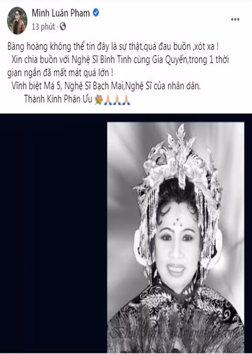 Nghệ sĩ Bạch Mai sinh năm 1948. Bà là nghệ sĩ tuồng cổ nổi tiếng thập niên 1960 và góp phần trong việc thành lập thương hiệu cải lương tuồng cổ Huỳnh Long. Nghệ sĩ Bạch Mai còn là soạn giả của nhiều vở tuồng nổi tiếng: "Xử án Phi Giao", "Giang sơn mỹ nhân", "Ngọc Kỳ Lân", "Thập tứ nữ anh hào", "Ngũ biến báo phu cừu", "Mặt trời đêm thế kỷ", "Trưng nữ vương".