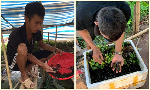 Chang trai 23 tuoi khoi nghiep o que, doanh thu 2 ty dong/nam