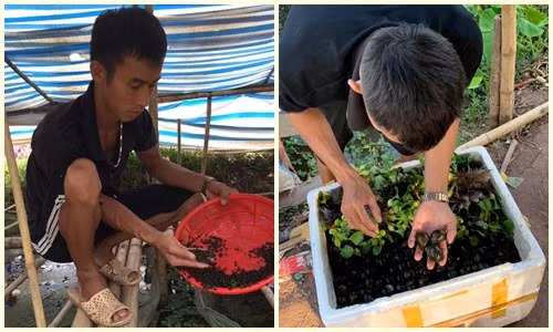 Chang trai 23 tuoi khoi nghiep o que, doanh thu 2 ty dong/nam