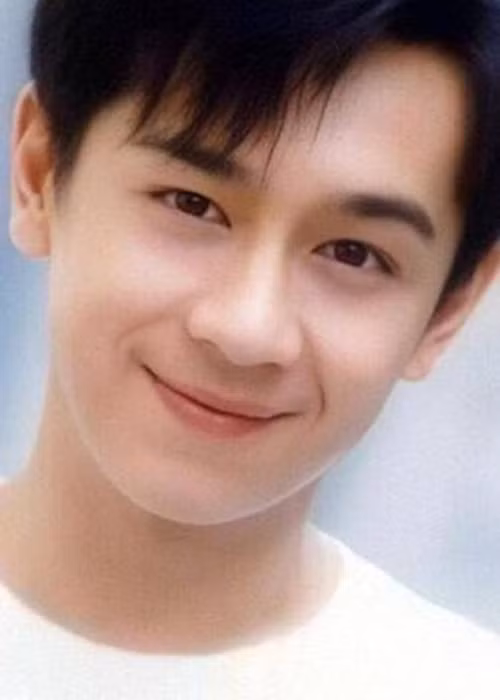 Nếu như ngày nổi tiếng, Trần Hạo Dân có thể chọn dự án tốt, hiện tại, vì áp lực kiếm tiền nuôi gia đình, anh liên tục đóng các phim "mỳ ăn liền", bị ném đá vì chất lượng thấp.