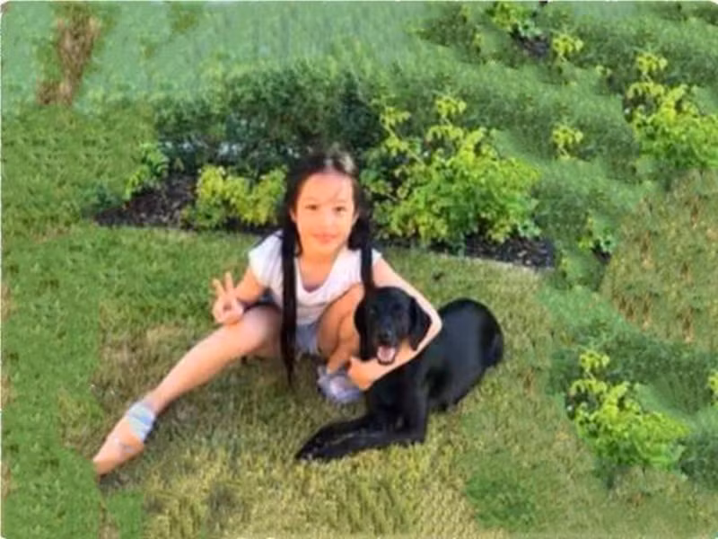 Trong ít năm trở lại đây, vợ chồng Triệu Vy hiếm khi khoe ảnh cận mặt con gái. Hiện tại, Triệu Vy vướng ồn ào bị phong sát khi bị xóa tên khỏi các dự án phim, giải thưởng. Đến nay, cô chưa có bất kì phát ngôn nào trên truyền thông về ồn ào.