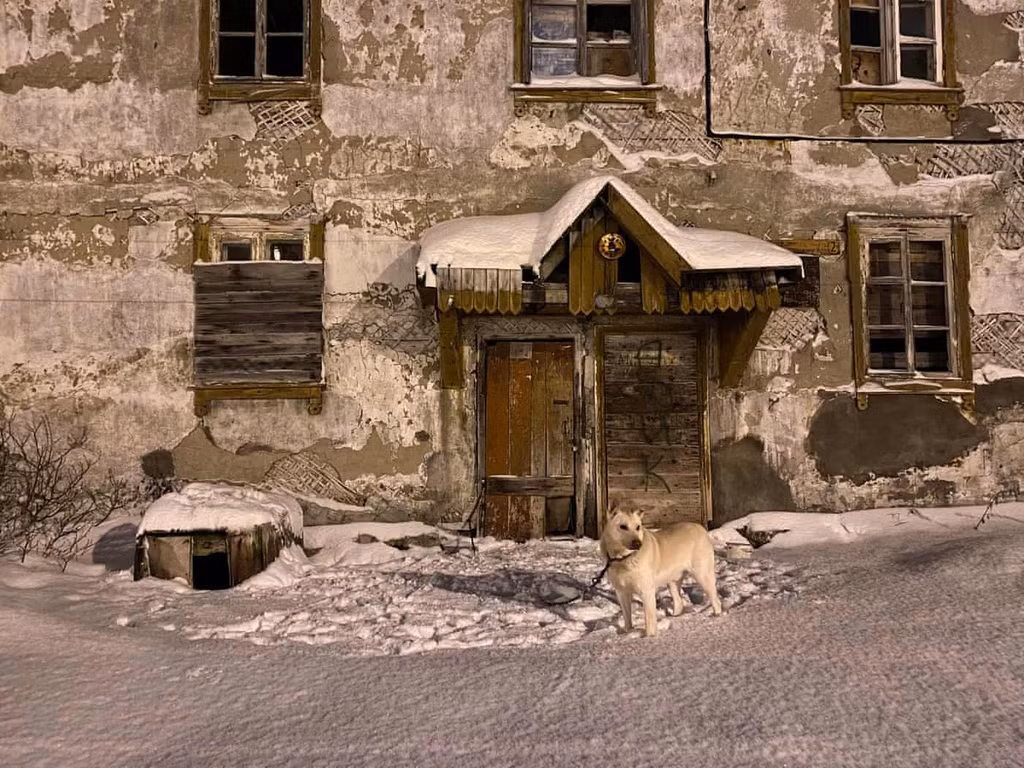 Một con chó bị xích bên ngoài ở Murmansk.