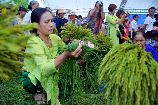 Lang com Me Tri co mat danh hieu lang nghe truyen thong?