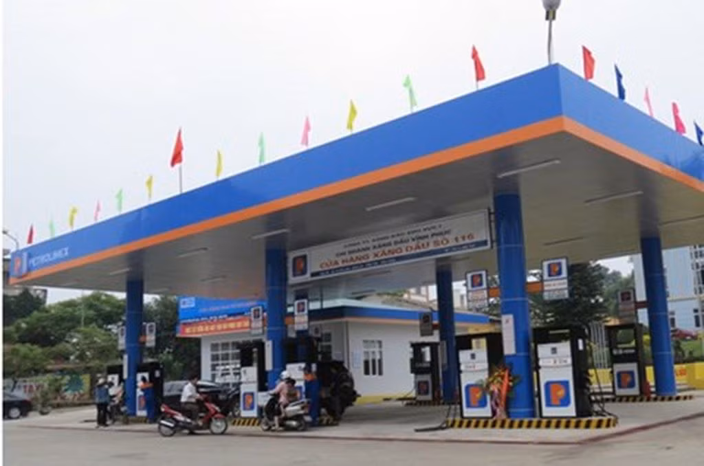 Về kiến nghị, Thanh tra Chính phủ đã đề nghị Bộ Tài chính xác định, truy thu thuế đối với 319,5 tấn dầu diesel do Công ty Xăng dầu Khu vực III tái xuất cho DN trong khu Công nghiệp Nomuara – Hải Phòng không đúng đối tượng với số tiền 31.812 USD. Petrolimex và các đơn vị thành viên trích bổ sung quỹ bình ổn gần 4,9 tỷ đồng, xác định lại số tiền đã trích lập dự phòng giảm giá đầu tư tài chính chưa đúng quy định hơn 53,7 tỷ đồng, thoái vốn đầu tư ngoài ngành hơn 622 tỷ đồng, xây dựng lộ trình thu hồi các khoản đã ủy thác cho vay đầu tư xâu dựng hơn 414,6 tỷ đồng; có biện pháp thu hồi các khoản công nợ phát sinh do tái xuất xăng dầu hơn 278.000 USD… và nhiều khoản khác. Thanh tra Chính phủ cũng đề nghị xử lý trách nhiệm với nhiều tổ chức và cá nhân liên quan.