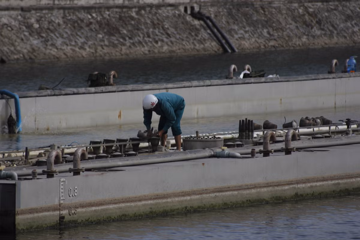 Trước thực trạng trên, UBND TP Hải Phòng đã tiến hành thương thảo, làm việc với Công ty TNHH Du lịch Sơn Lâm. Hai bên đã thống nhất chấm dứt thực hiện dự án nhạc nước 200 tỷ này. UBND TP Hải Phòng không thu hồi lại khoản kinh phí đã ứng trước cho nhà thầu là 88,5 tỷ đồng. Nhà thầu có trách nhiệm tháo dỡ và di chuyển công trình ra khỏi lòng hồ Tam Bạc. Nhà thầu cũng chia sẻ với thành phố, không yêu cầu thanh toán số tiền còn lại trong hợp đồng.