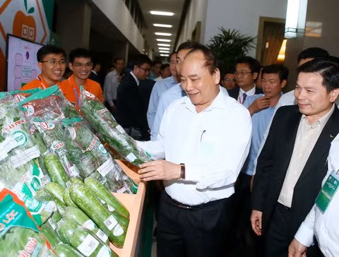  Thủ tướng Nguyễn Xuân Phúc: “Nỗ lực đưa Việt Nam thành cường quốc nông nghiệp trong tương lai”. Tại Hội nghị xây dựng nền công nghiệp nông nghiệp Việt Nam được tổ chức chiều 18/12 tại TP HCM, Thủ tướng khẳng định: “Đảng, Nhà nước xác định công nghiệp hóa, hiện đại hóa nông nghiệp nông thôn là nhiệm vụ quan trọng hàng đầu trong quá trình hiện đại hóa, công nghiệp hóa đất nước. Việt Nam có khát vọng nỗ lực phấn đấu vươn lên, từng bước đứng vào đội ngũ cường quốc nông nghiệp trên thế giới, nông nghiệp Việt Nam phải trở thành trung tâm cung ứng sản phẩm nông nghiệp công nghệ cao có vị thế quan trọng trong mạng sản xuất và chuỗi giá trị toàn cầu”. Ảnh Thống Nhất-TTXVN.