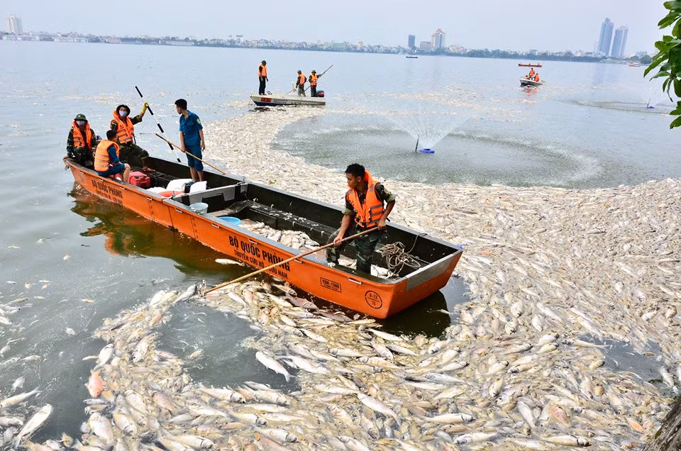  4. 200 tấn cá chết ở Hồ Tây (TP Hà Nội) Hiện tượng cá chết hàng loạt tại Hồ Tây bắt đầu từ ngày 1/10/2016. Thống kê ban đầu, cá chết trên diện tích hơn 500 ha, tại 24 cửa xả xuống Hồ Tây. UBND thành phố Hà Nội đã lập Ban chỉ huy xử lý sự cố và triển khai 7 biện pháp cấp bách. Khoảng 200 tấn cá chết đã được thu gom, xử lý sau đó. Ảnh Hải Ninh.