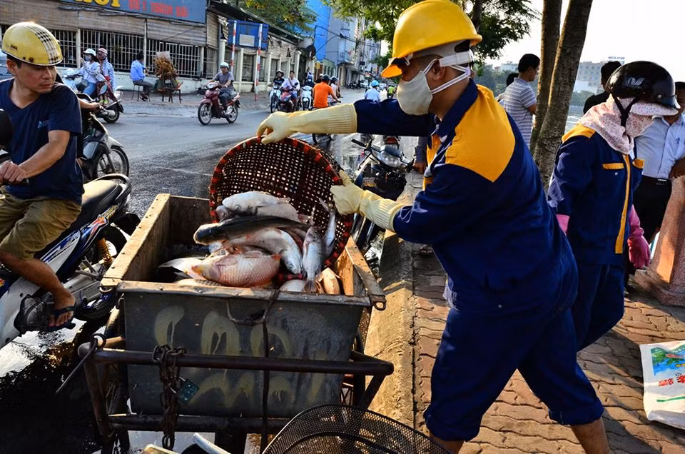 Ngày 3/10, Thủ tướng yêu cầu UBND TP Hà Nội tập trung xử lý vụ việc, nhất là xử lý ô nhiễm, phòng ngừa dịch bệnh có thể xảy ra, nghiêm cấm sử dụng cá chết làm thực phẩm, đồng thời khẩn trương làm rõ nguyên nhân, sớm thông tin cho nhân dân. Ảnh Hải Ninh.