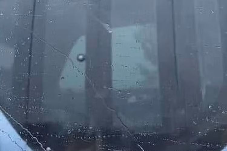 Bên trong xe có nhiều thanh kim loại đặt dọc làm tay nắm cho hành khách, một nút màu đỏ (có thể là nút dừng khẩn cấp), ghế dài và màn hình sát trần xe. Ngoài xe buýt mini không người lái, truyền thông Trung Quốc cũng đưa tin rằng Hongqi thử nghiệm Robotaxi.