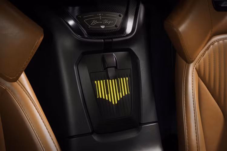 Mẫu xe cũng được trang bị logo Wayne Enterprises trên sườn xe và mui xe. Những chiếc xe Pininfarina đặc biệt là sản phẩm mới nhất trong dòng sản phẩm mới lấy cảm hứng từ chính series phim điện ảnh siêu anh hùng đình đám Batman.