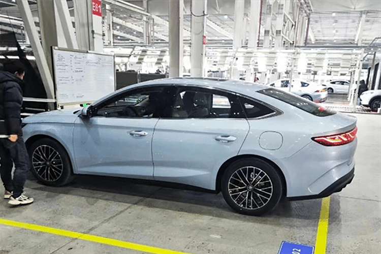 Vô lăng ba chấu đa chức năng kiểu dáng mới và sạc điện thoại di động không dây cùng các cấu hình khác đã được bổ sung để đáp ứng nhu cầu mua xe của người dùng hiện tại. Tạo tiếng vang cho vẻ ngoài, các chi tiết nút thắt kiểu Trung Hoa cũng được sử dụng nhiều trong thiết kế nội thất của Qin L.