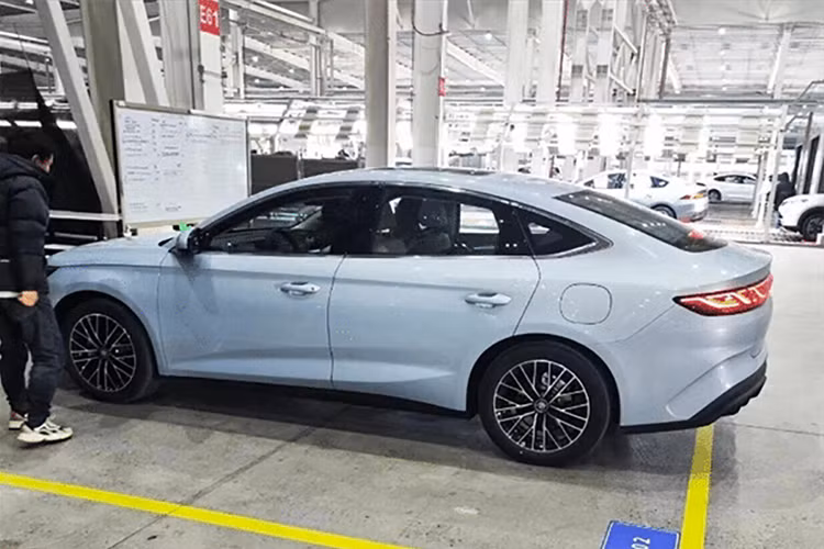 Vô lăng ba chấu đa chức năng kiểu dáng mới và sạc điện thoại di động không dây cùng các cấu hình khác đã được bổ sung để đáp ứng nhu cầu mua xe của người dùng hiện tại. Tạo tiếng vang cho vẻ ngoài, các chi tiết nút thắt kiểu Trung Hoa cũng được sử dụng nhiều trong thiết kế nội thất của Qin L.