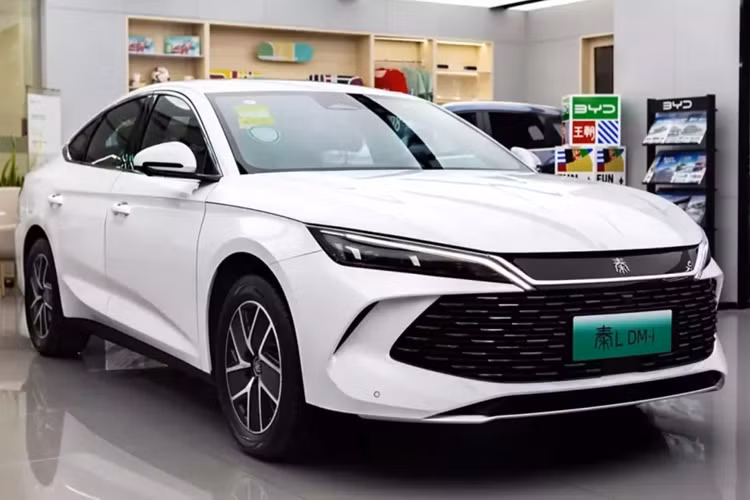 Dòng sản phẩm này hiện bao gồm các mẫu Qin Plus EV và Qin Plus DM-i. Trong quý 1 năm 2024, doanh số bán hàng kết hợp thứ ba đạt 107.489 chiếc. Kết quả là Qin Plus trở thành mẫu xe bán chạy nhất tại Trung Quốc. BYD đặt mục tiêu ra mắt một mẫu xe đắt tiền hơn thuộc dòng Qin. Đó là Qin L DM-i.