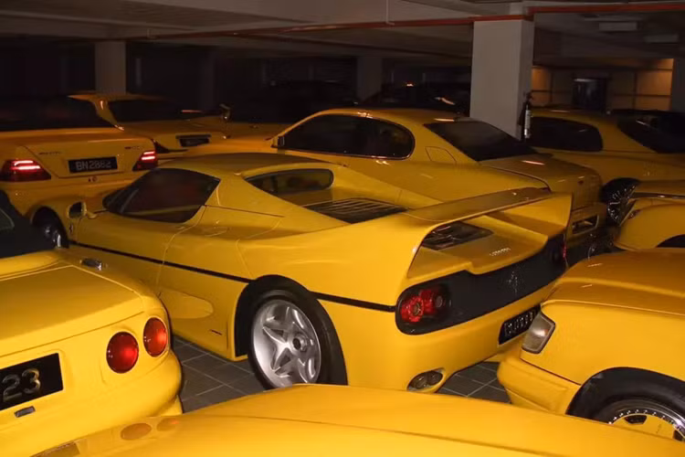 Trong đó, số lượng siêu xe Ferrari của quốc vương Brunei lên đến hàng trăm xe, nhiều chiếc là độc bản hoặc hàng hiếm, và nếu có là đại trà, thì cũng sẽ có trang bị khác biệt so với các xe còn lại.