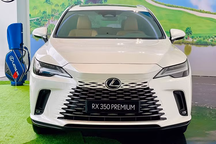 Xe có 4 chế độ lái, gồm: Eco, Normal, Sport và Custom, đáp ứng nhu cầu di chuyển ở nhiều địa hình khác nhau. Hai phiên bản trên sử dụng hệ thống treo biến thiên AVS. Về trang bị an toàn trên Lexus RX350 mới sở hữu gói công nghệ an toàn chủ động LSS+3 cải tiến đem lại nhiều ấn tượng cho người sử dụng.