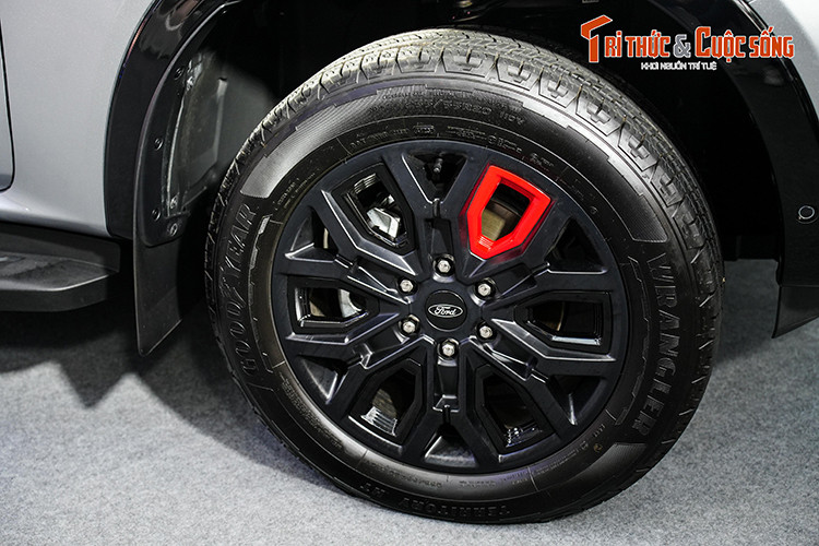 Tuy nhiên, điểm nhấn thực sự của mẫu xe bán tải này lại nằm ở hệ thống giá đỡ đa năng thông minh. Hệ thống giá nóc cũng như thanh thể thao linh hoạt trên phiên bản này có thể chịu tải trọng động 80 kg và tải trọng tĩnh 250 kg. Thanh thể thao cho phép người lái dễ dàng điều chỉnh 5 vị trí chỉ bằng một tay. Trang bị này đáp ứng mọi nhu cầu chuyên chở, kể cả vật dụng có kích thước lớn.