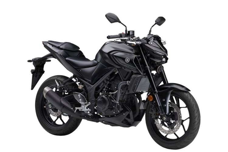 Cung cấp sức mạnh cho Yamaha MT-03 thế hệ mới là khối động cơ 2 xy lanh loại DOHC với tổng dung tích 321cc. Xe cũng sử dụng hệ thống truyền động hộp số 6 cấp kèm côn tay đem tới sự linh hoạt trong quá trình di chuyển.