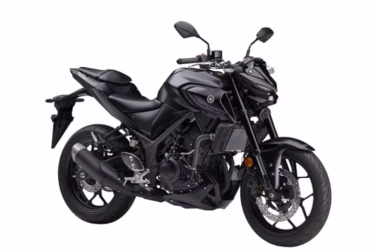 Cung cấp sức mạnh cho Yamaha MT-03 thế hệ mới là khối động cơ 2 xy lanh loại DOHC với tổng dung tích 321cc. Xe cũng sử dụng hệ thống truyền động hộp số 6 cấp kèm côn tay đem tới sự linh hoạt trong quá trình di chuyển.