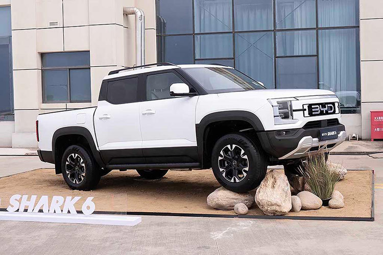 Theo BYD, sau khi ra mắt tại Campuchia, mẫu bán tải Shark 6 sẽ được bán ra tại Úc vào ngày 29/10, sau đó sẽ là những thị trường khác trong đó có cả Việt Nam. Hiện tại Shark chưa ra mắt tại Trung Quốc, có thể vì một số thành phố hạn chế đối với xe bán tải.