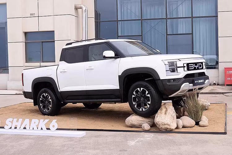 Theo BYD, sau khi ra mắt tại Campuchia, mẫu bán tải Shark 6 sẽ được bán ra tại Úc vào ngày 29/10, sau đó sẽ là những thị trường khác trong đó có cả Việt Nam. Hiện tại Shark chưa ra mắt tại Trung Quốc, có thể vì một số thành phố hạn chế đối với xe bán tải.