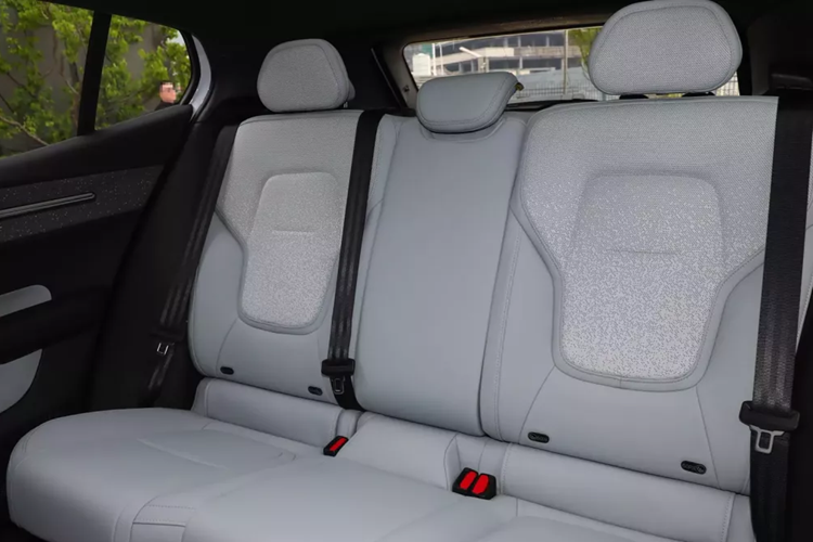 Trong số đó, phiên bản động cơ đơn sử dụng hệ dẫn động cầu sau, công suất tối đa 200kW (272 mã lực) và mô-men xoắn cực đại 343 Nm. Thời gian tăng tốc từ vị trí xuất phát lên 100 km/h là 5,3 giây và 5,7 giây. Phiên bản lithium iron phosphate được trang bị bộ pin 49kWh và có phạm vi hoạt động CLTC là 410 km.