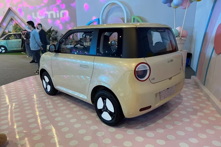 Xe có thể đạt vận tốc tối đa chỉ 101 km/h. Sau khi sạc đầy pin, cả hai phiên bản đều có thể chạy được 301 km theo chu trình thử nghiệm CLTC của Trung Quốc. Tuy nhiên, bản L chỉ hỗ trợ sạc chậm AC với thời gian sạc đầy pin là 10 tiếng. Bản L DC hỗ trợ cả sạc chậm AC lẫn sạc nhanh DC 50 kW.